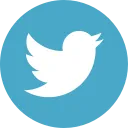 Icon flacher Kreis Twitter