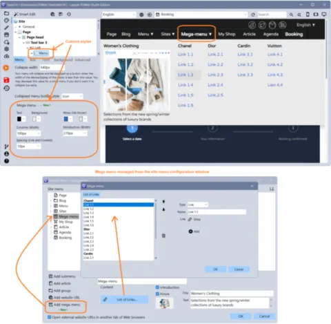 Managing Mega Menus in a TOWeb Site