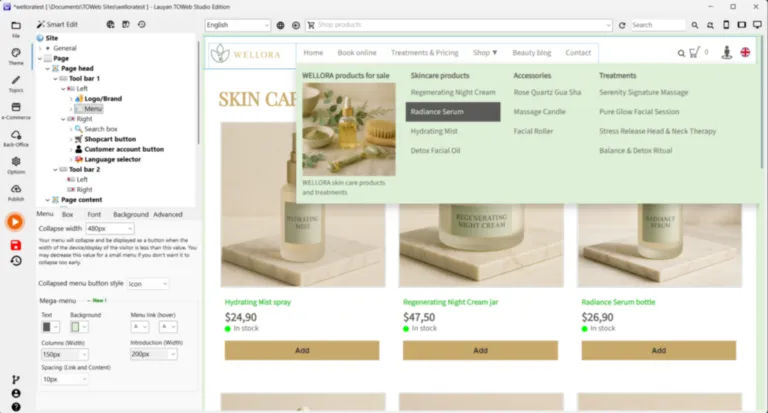 personnalisation des styles des méga-menus dans TOWeb