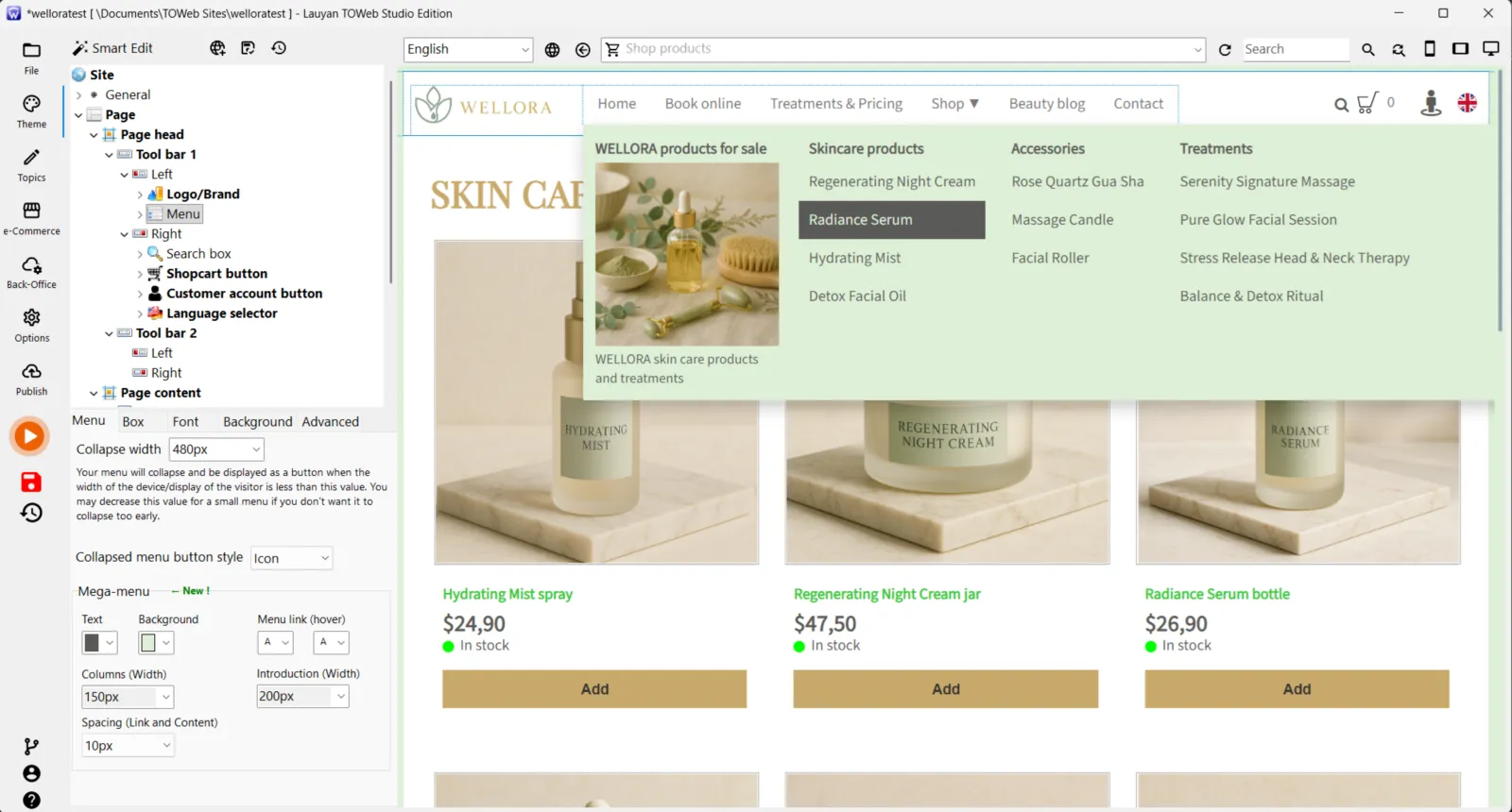 Un méga-menu ouvert sur un site créé avec TOWeb